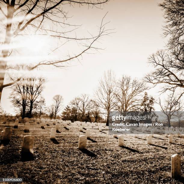 arlington national cemetery - koeberer stock pictures, royalty-free photos & images