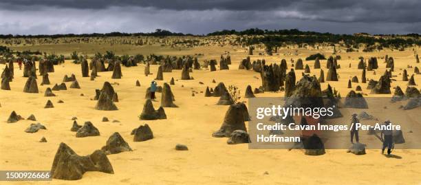 the pinnacles near perth - naturwunder photos et images de collection