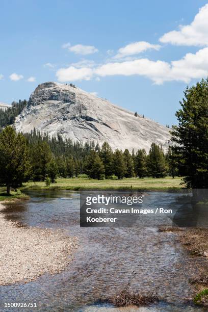 tuolumne river with fairview dome - koeberer stock pictures, royalty-free photos & images