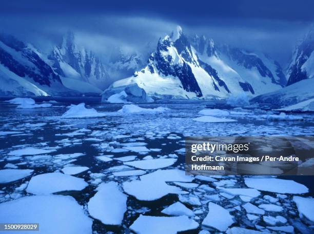 ice shoals near the antarctic circle - naturwunder photos et images de collection