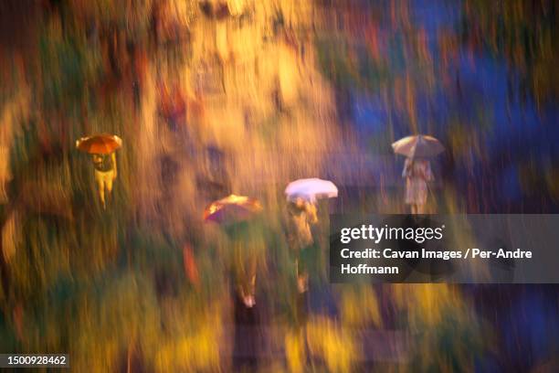 people walking in rain in central park, new york city, new york, usa - central park manhattan - fotografias e filmes do acervo