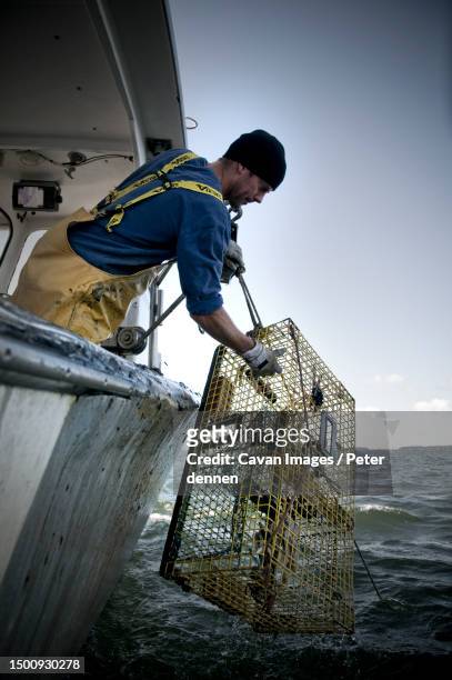 lobsterman, casco bay, maine - casco protector photos et images de collection