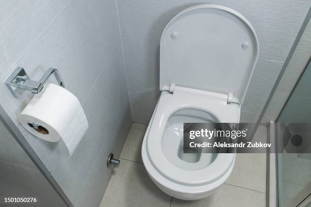 new ceramic toilet bowl in a modern bathroom. white clean, soft toilet paper hanging on the toilet paper holder. the concept of personal hygiene. - public restroom stock-fotos und bilder