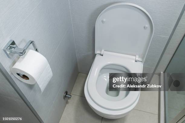 new ceramic toilet bowl in a modern bathroom. white clean, soft toilet paper hanging on the toilet paper holder. the concept of personal hygiene. - clean closet stockfoto's en -beelden
