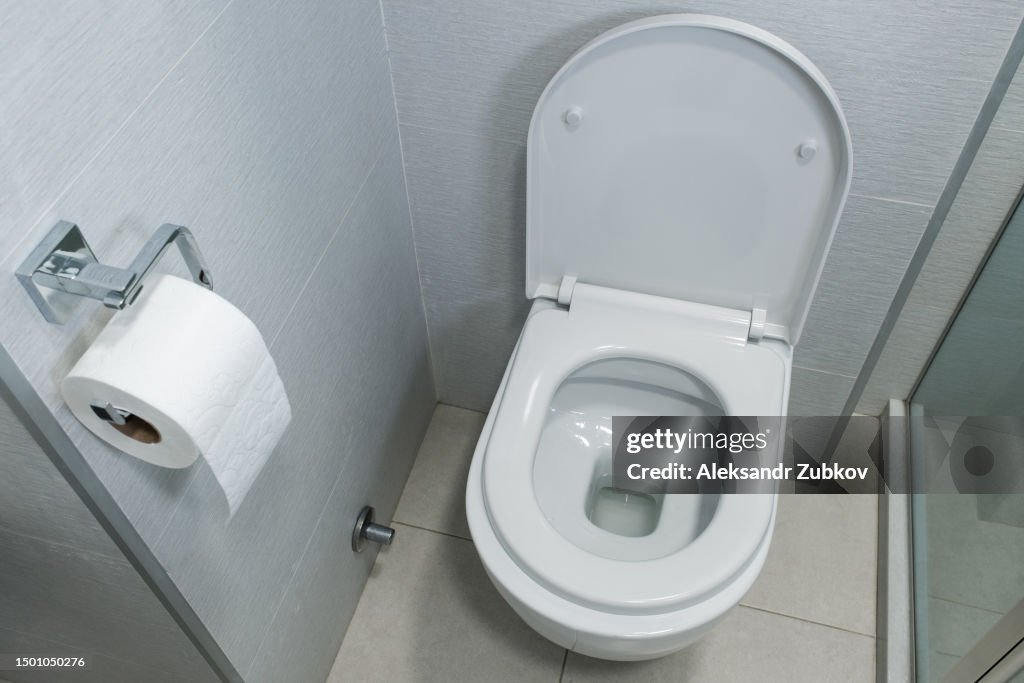 New ceramic toilet bowl in a modern bathroom. White clean, soft toilet paper hanging on the toilet paper holder. The concept of personal hygiene.