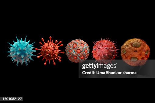 Virus mutation Virus mutation