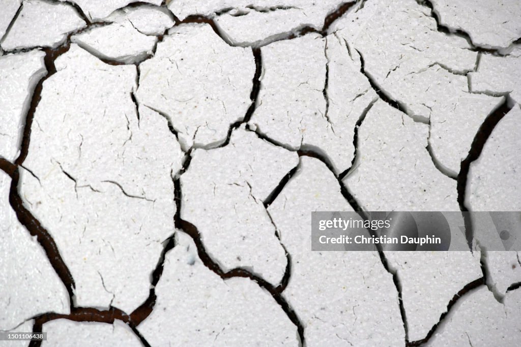 Cracked White Paint.