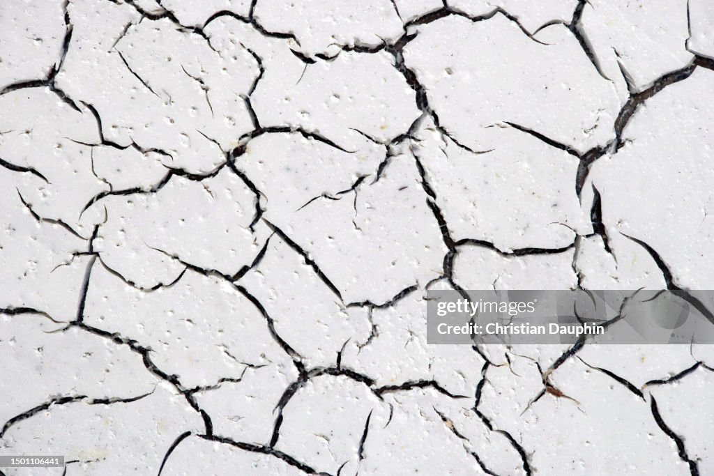 Cracked White Paint.