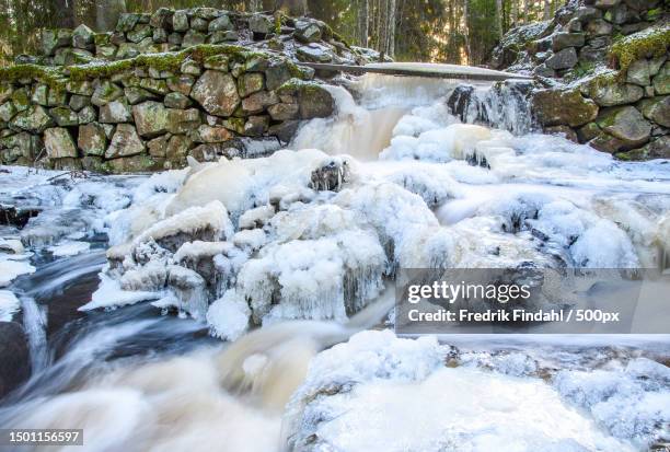 scenic view of waterfall in forest,sweden - vätska stock pictures, royalty-free photos & images