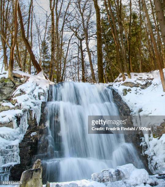 scenic view of waterfall in forest,sweden - vätska stock pictures, royalty-free photos & images