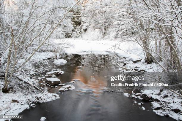 high angle view of river amidst trees during winter,sweden - vatten stock-fotos und bilder