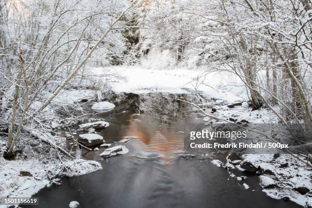 high angle view of river amidst trees during winter,sweden - vätska stock pictures, royalty-free photos & images