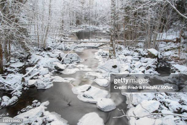 scenic view of frozen lake in forest during winter,sweden - vätska stock pictures, royalty-free photos & images