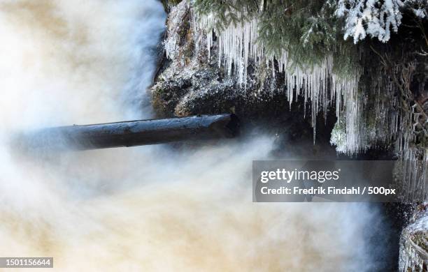 scenic view of waterfall in forest,sweden - vätska stock pictures, royalty-free photos & images