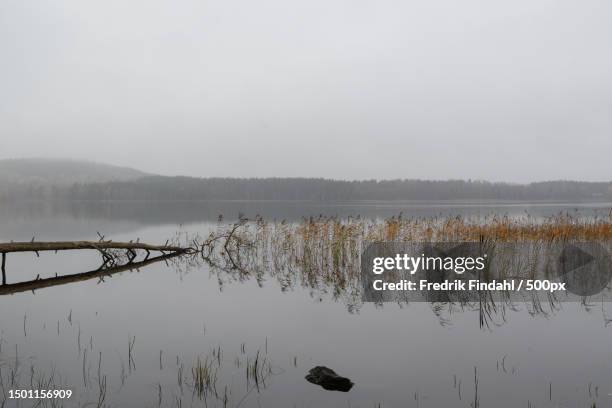 scenic view of lake against sky,sweden - sverige landskap stock pictures, royalty-free photos & images