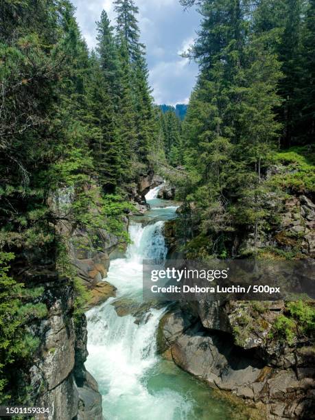 scenic view of waterfall in forest against sky,provincia autonoma di trento,italy - provincia di trento stock-fotos und bilder