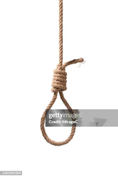 hangman's noose tied with hemp rope isolated on white - noeud coulant photos et images de collection