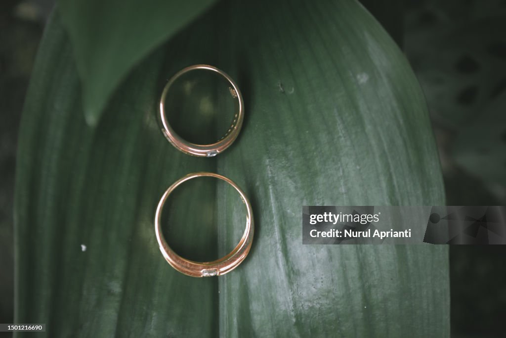 Ring couple wedding on green leaf