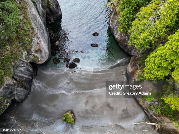 a beach viewed from above at cape flattery on the olympic peninsula - cape flattery 個照片及圖片檔