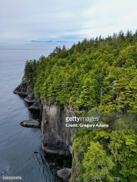 wooded cliffs at cape flattery on the olympic peninsula - cape flattery 個照片及圖片檔