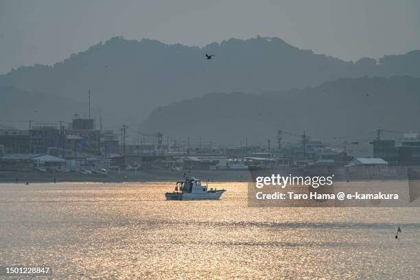 morning beach in kanagawa of japan - japan sunrise stock pictures, royalty-free photos & images