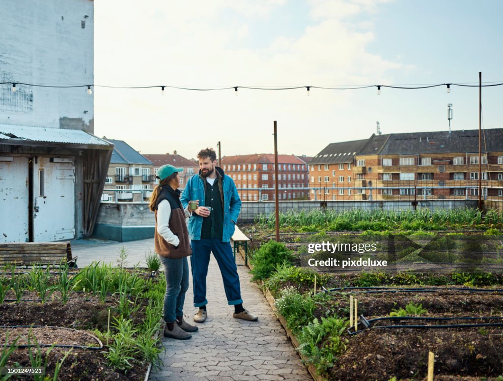 Roof-to-Table: Urban Agriculture, Permaculture, and Sustainable Crop Harvest