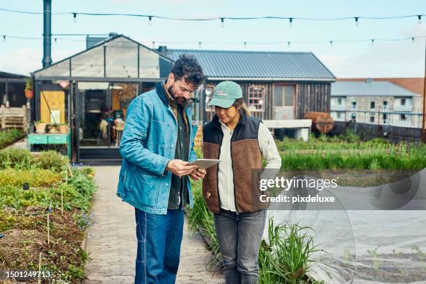 farming in the digital age: urban agriculture, biodiversity, and mobile technology - rooftop farm stock pictures, royalty-free photos & images