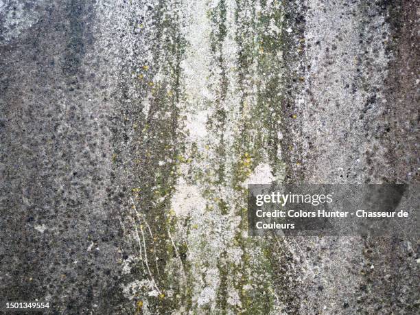 weathered stone wall covered with lichen and moss in london, england, united kingdom - moss stock pictures, royalty-free photos & images