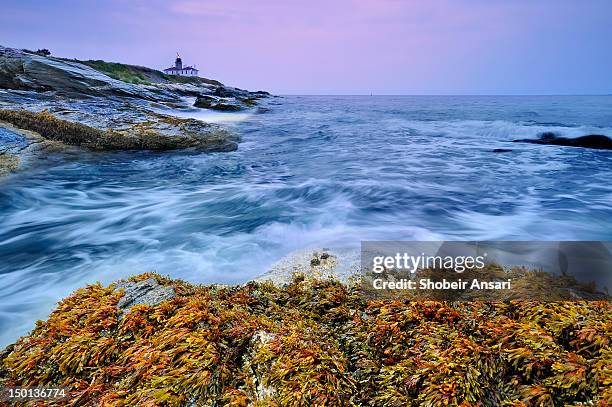 beavertail lighthouse, jamestown, rhode island - jamestown stock-fotos und bilder