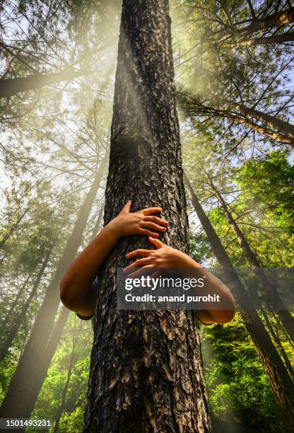 hug the tree - world earth day in india stock pictures, royalty-free photos & images