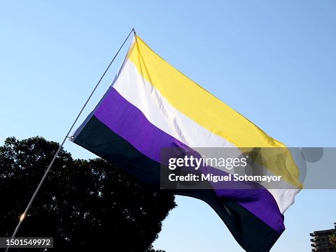 Pride. Storia Di Una Bandiera, Di Grafica, Simboli, Arcobaleno - Foto 11