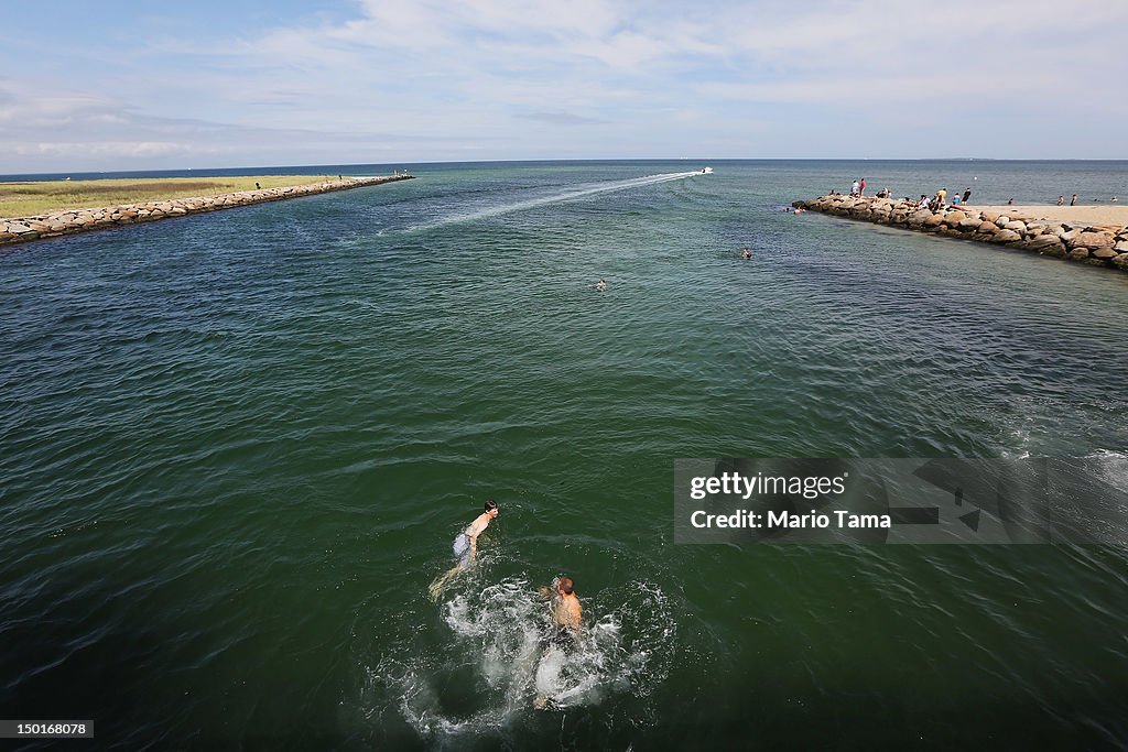 Increased Shark Sightings Along Cape Cod Coast Linked To Seal Population Growth