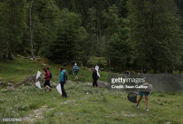 Volunteers use nets to catch butterflies on an alpine meadow in Tyrol while helping in data collection for the Viel-Falter butterfly and moth...