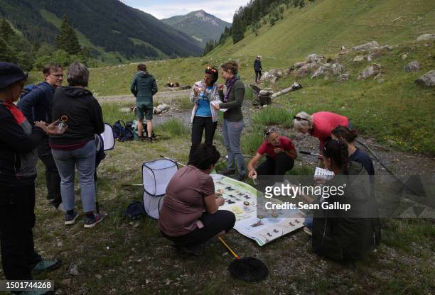 Eva Hengsberger , a biologist and employee of the Viel-Falter butterfly and moth monitoring program, explains local butterfly species during...