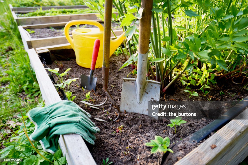 Gardening equipment at a raised bed