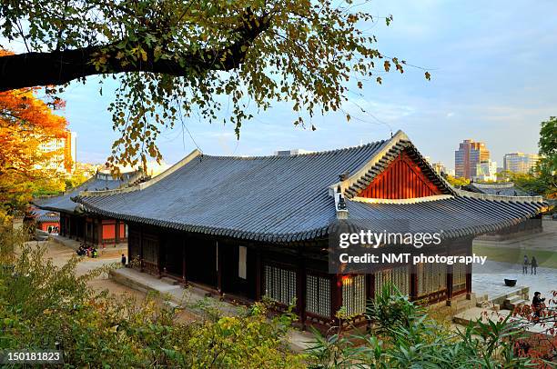 changdeokgung palace - changdeokgung palace stock pictures, royalty-free photos & images