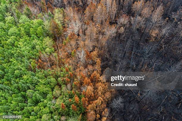 aerial view of wildfire damage - laboratory for the symptoms of global warming stockfoto's en -beelden