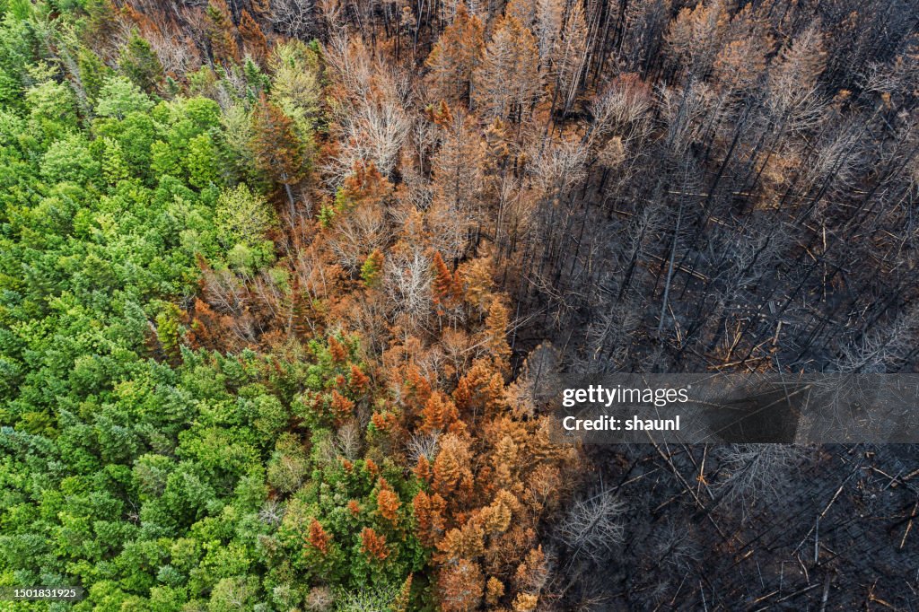 Aerial View of Wildfire Damage