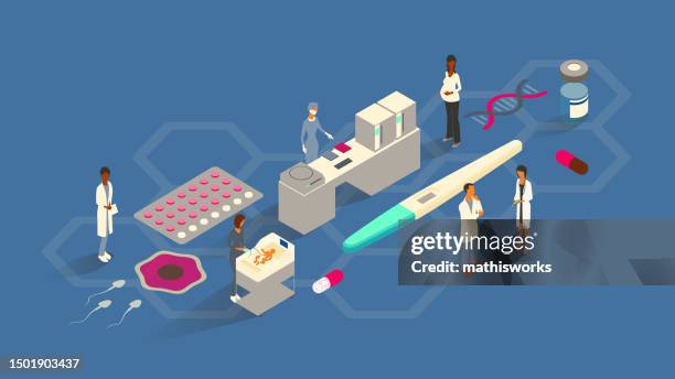 ilustrações de stock, clip art, desenhos animados e ícones de reproductive medicine illustration - organe de reproduction masculin