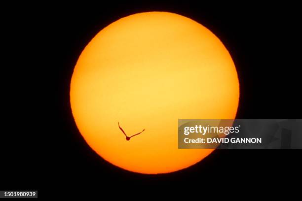 Bird flies past the sun as it sets in Berlin's Kreuzberg district on July 4, 2023.