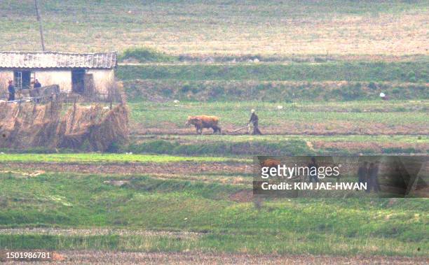 Farm workers are seen ploughing fields on April 30, 2008 as photographed from the South Korean side of the border village of Panmunjom in the...