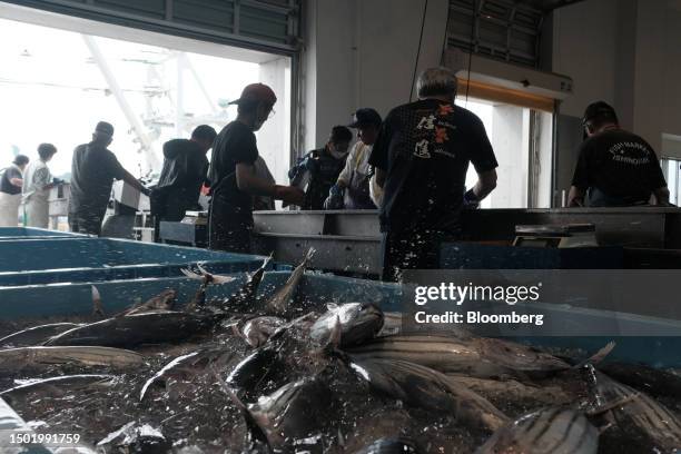 Freshly-caught bonito fish unloaded from a boat at a wharf outside the Onahama Fish Market in Iwaki, Fukushima Prefecture, on Wednesday, July 5,...