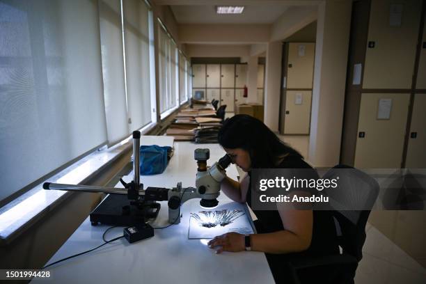 Woman works on dried flowers at "ANK Herbarium" founded in 1933 by the German botanist Kurt Krause and his assistant Hikmet Birand within the Faculty...