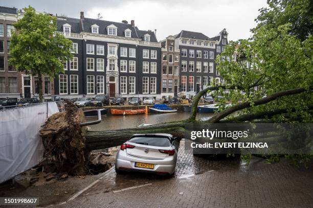 Storm damaged tree lies on a vehicle on the Keizersgracht in the centre of Amsterdam on July 5 after winds of ' Storm Poly' struck north Holland...