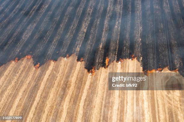 feuer auf ackerland. - stoppelfeld stock-fotos und bilder