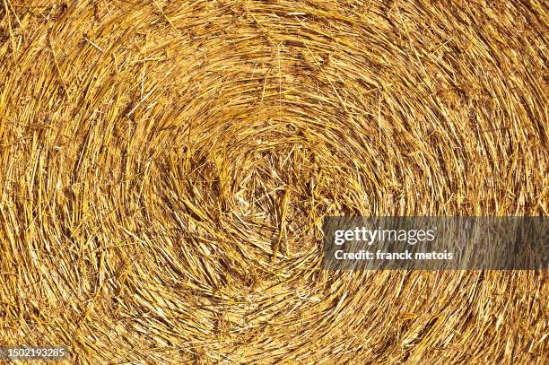 straw bale, close up - bale stock pictures, royalty-free photos & images