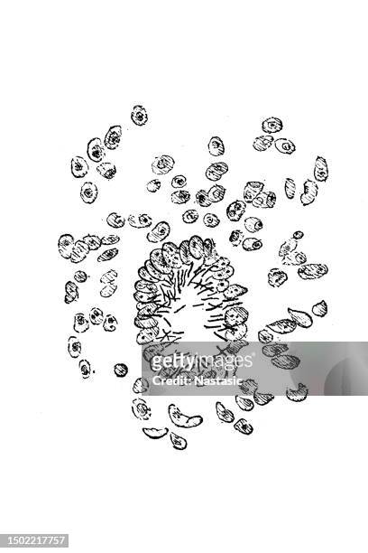 giant cell of tuberculosis tissue - acid fast stain stock illustrations