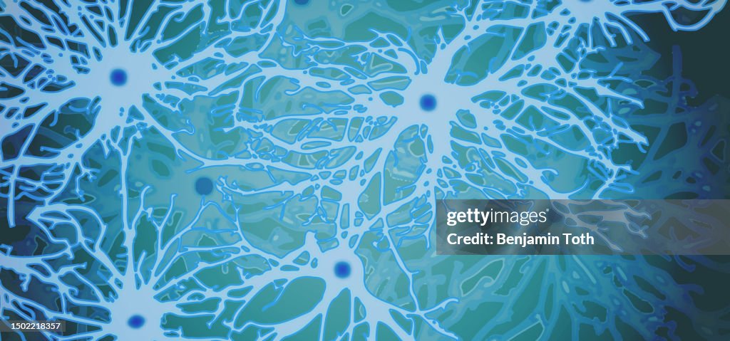Neuron illustration