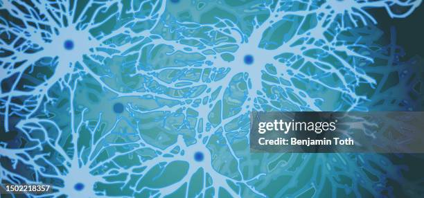 neuron illustration - alzheimers stock illustrations