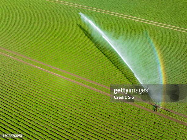 irrigation pivot gun machinespraying water on a field - drone agriculture bildbanksfoton och bilder